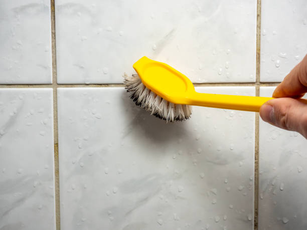Best Black Mold Removal  in Salida Del Sol Estates, TX