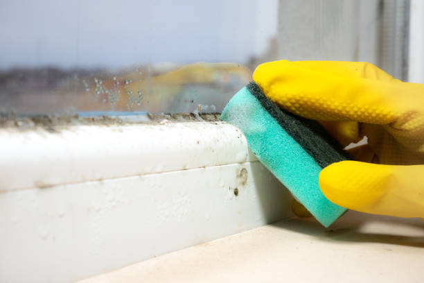 Best Mold Testing  in Salida Del Sol Estates, TX