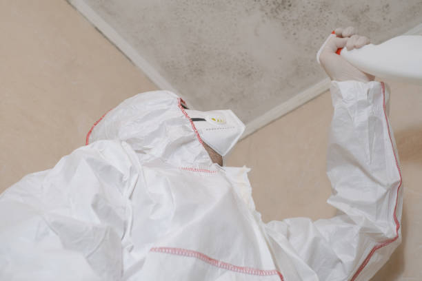 Best Professional Mold Removal  in Salida Del Sol Estates, TX