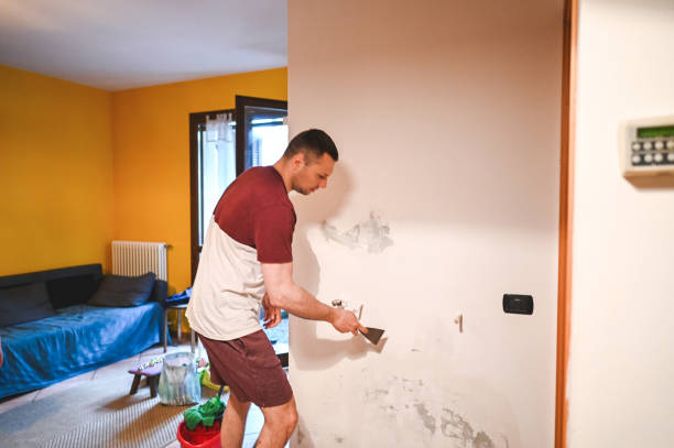 Best Home Mold Removal  in Salida Del Sol Estates, TX
