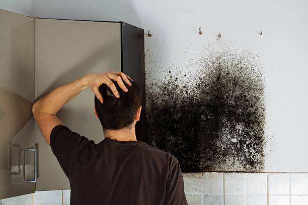 Best Mold Cleaning Services  in Salida Del Sol Estates, TX