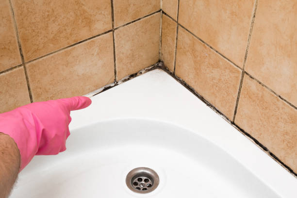 Best Emergency Mold Removal  in Salida Del Sol Estates, TX